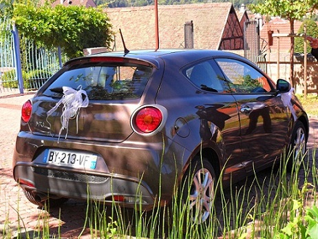 MiTo CoyA