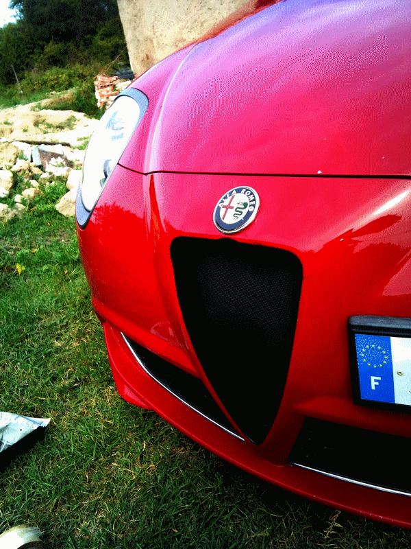 alfa anthoR34