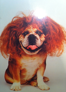 RedGilou